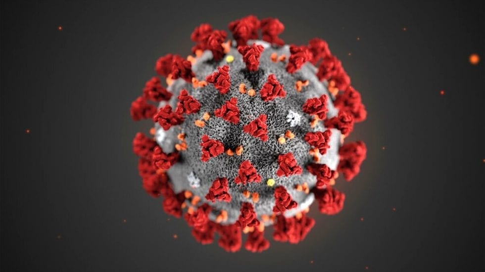 Imagen del coronavirus COVID-19, IMI2 - Call 21