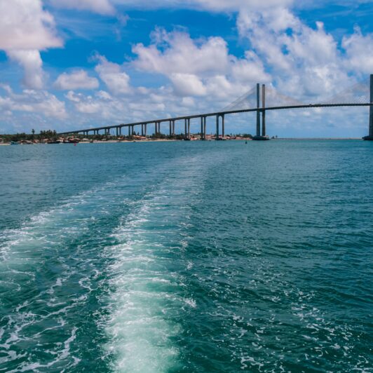 impuestos locales para empresas