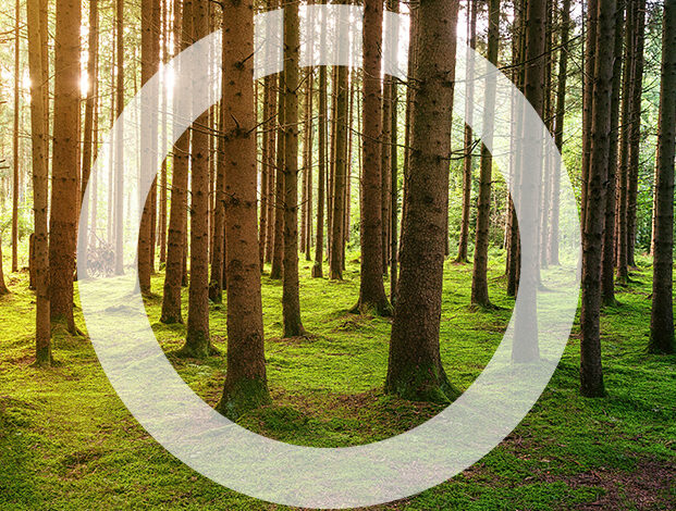 servicios-sostenibilidad