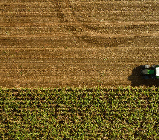 pepac-cantabria-transformacion-comercializacion-desarrollo-agricolas