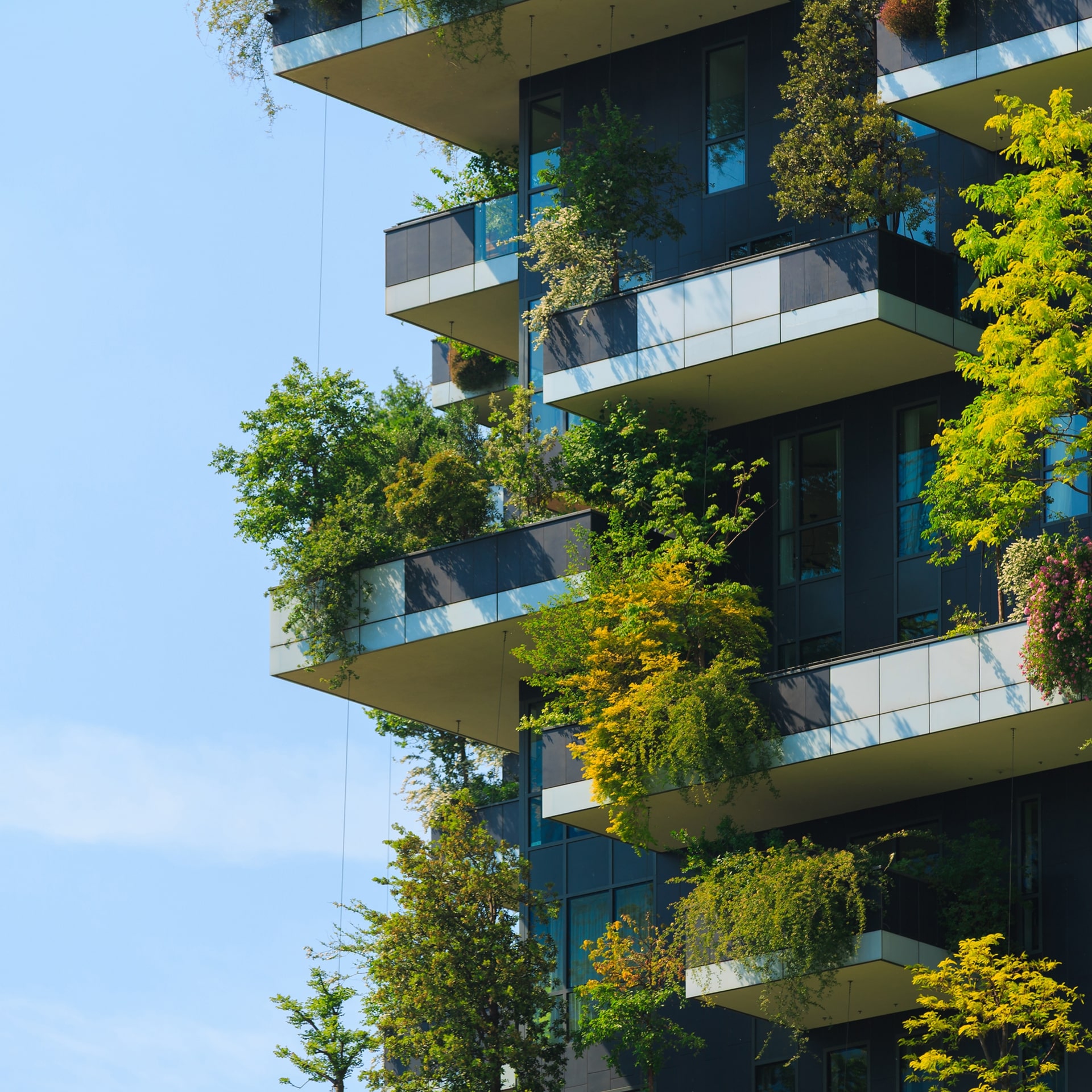 Optimización del IAE