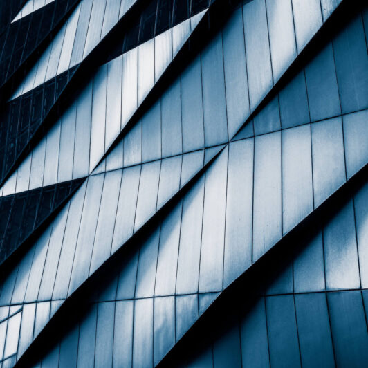 externalización de la inspección del IAE