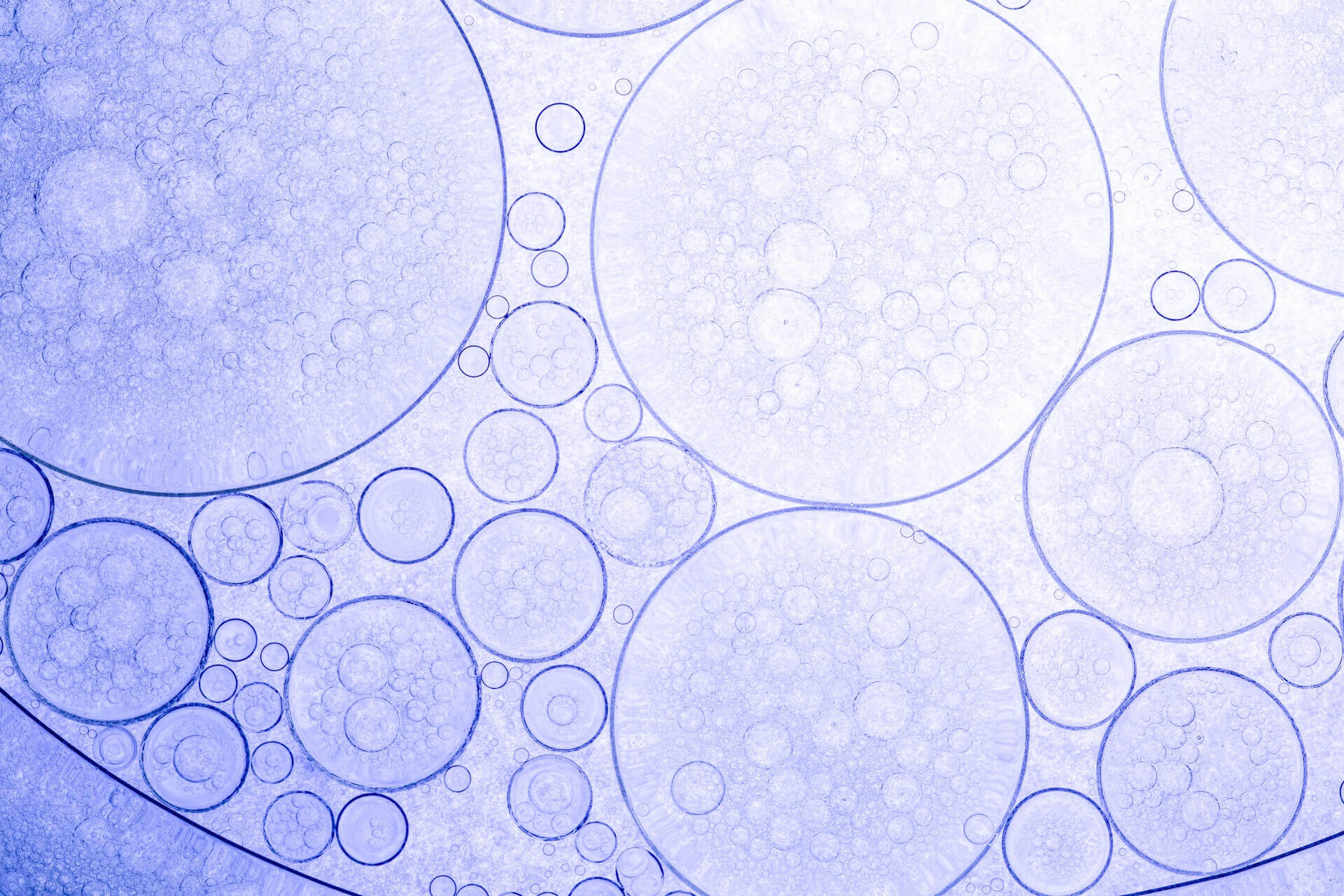 servicios-de-innovación