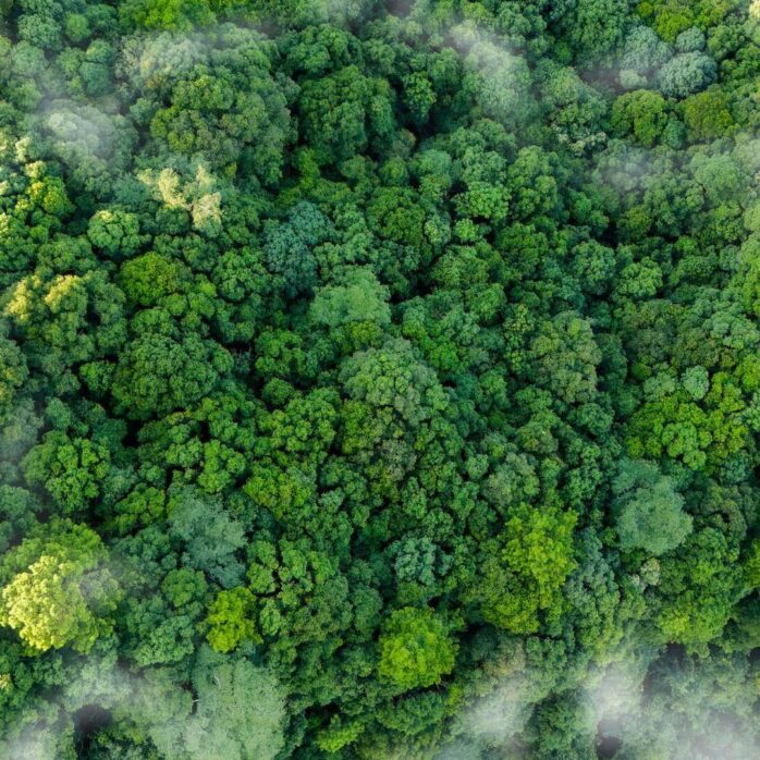 ayudas-medioambientales