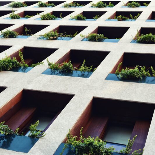 optimización del pago del ibi