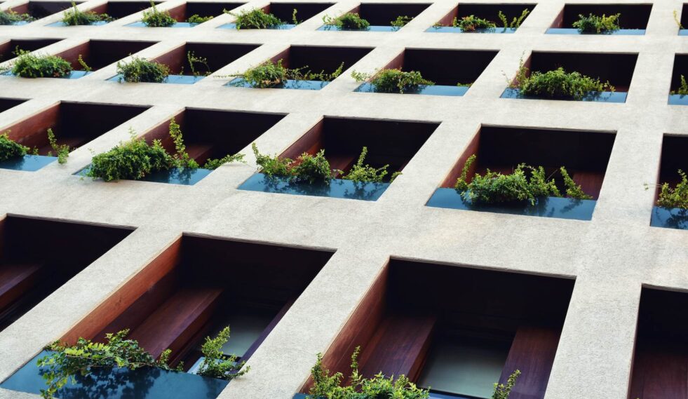 optimización del pago del ibi