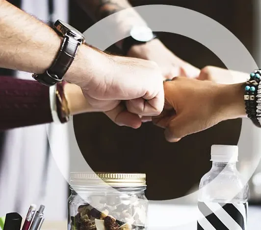 proyectos en colaboración público-privada