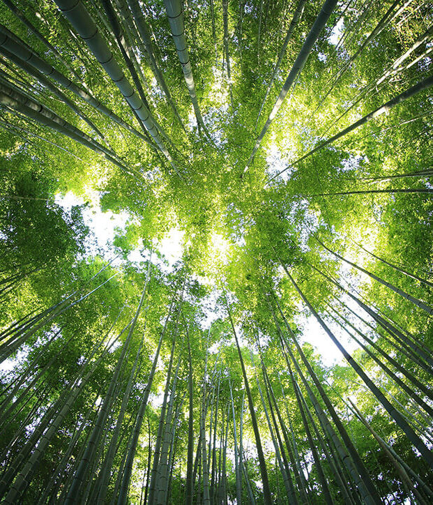 servicios-sostenibilidad