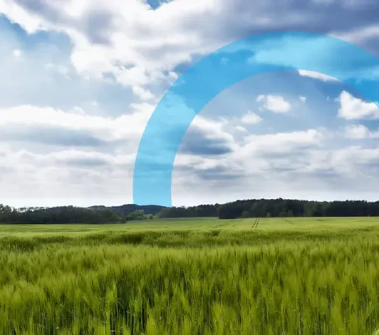 perte descarbonizacion industrial