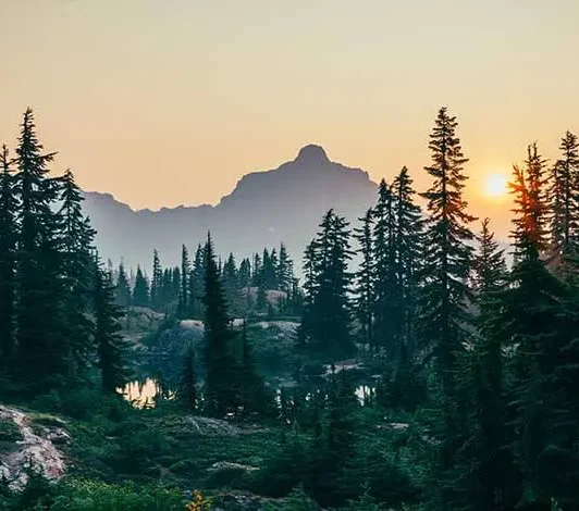 pid-cdti-proyectos-id