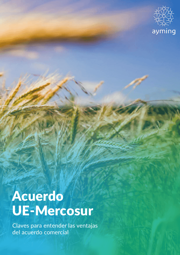 Acuerdo UE Mercosur